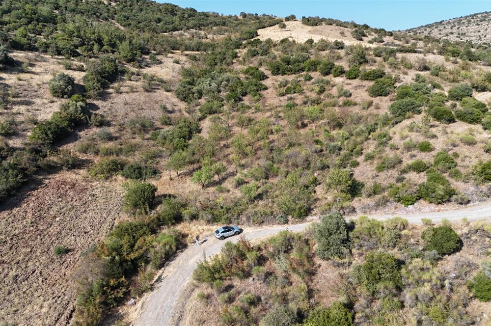 C21 WİNNER KEPSUT NUSRET KÖYÜNDE 4.005m² SATILIK TARLA