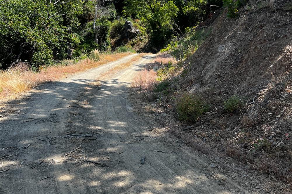 C21 Cius ; Küçük Kumla Mahallesinde 3616 m2 Satılık Tarla
