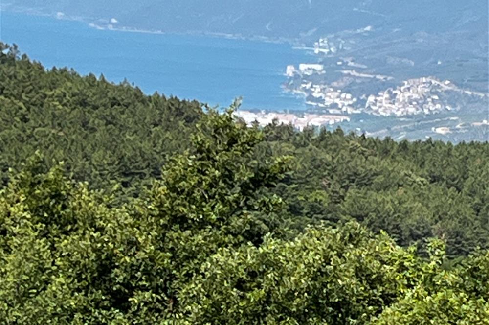 C21 Cius ; Küçük Kumla Mahallesinde 5002 m2 Satılık Tarla