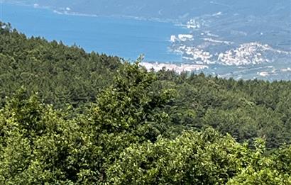 C21 Cius ; Küçük Kumla Mahallesinde 5002 m2 Satılık Tarla