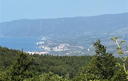 C21 Cius ; Küçük Kumla Mahallesinde 5002 m2 Satılık Tarla