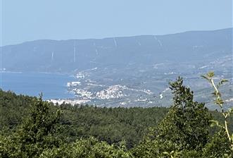 C21 Cius ; Küçük Kumla Mahallesinde 5002 m2 Satılık Tarla