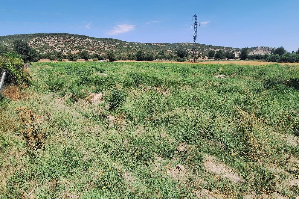 CENTURY 21 VİZYON'DAN YENİSOFÇA’DA SU VE YOLU OLAN SATILIK TARLA