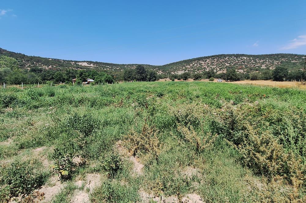 CENTURY 21 VİZYON'DAN YENİSOFÇA’DA SU VE YOLU OLAN SATILIK TARLA