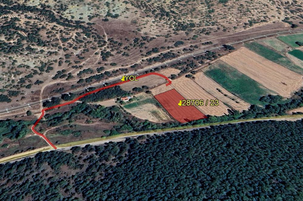 CENTURY 21 VİZYON'DAN YENİSOFÇA’DA SU VE YOLU OLAN SATILIK TARLA