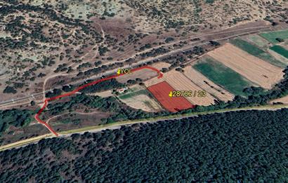 CENTURY 21 VİZYON'DAN YENİSOFÇA’DA SU VE YOLU OLAN SATILIK TARLA