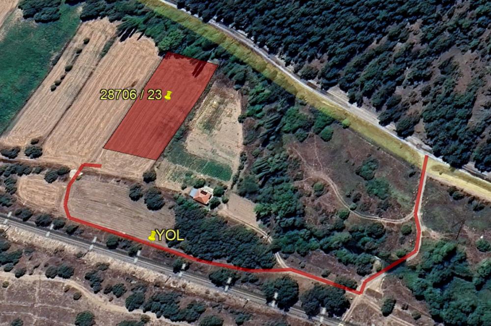 CENTURY 21 VİZYON'DAN YENİSOFÇA’DA SU VE YOLU OLAN SATILIK TARLA