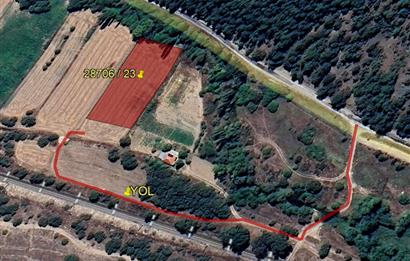 CENTURY 21 VİZYON'DAN YENİSOFÇA’DA SU VE YOLU OLAN SATILIK TARLA
