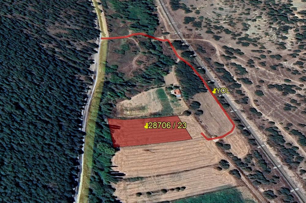 CENTURY 21 VİZYON'DAN YENİSOFÇA’DA SU VE YOLU OLAN SATILIK TARLA