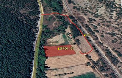 CENTURY 21 VİZYON'DAN YENİSOFÇA’DA SU VE YOLU OLAN SATILIK TARLA