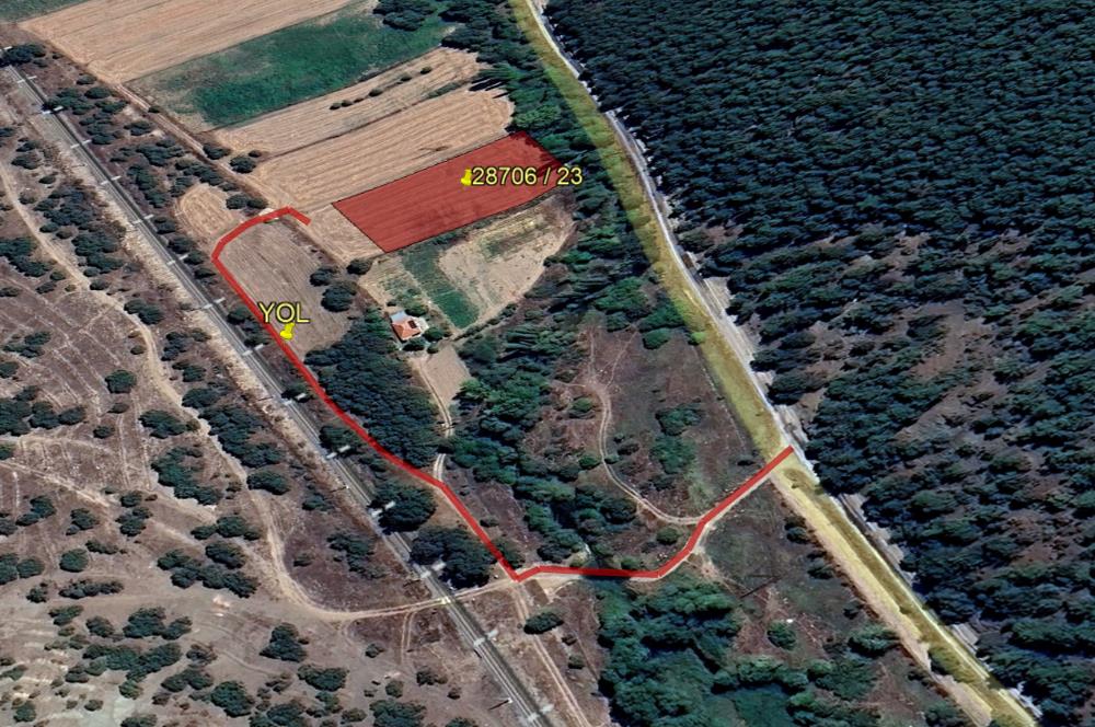 CENTURY 21 VİZYON'DAN YENİSOFÇA’DA SU VE YOLU OLAN SATILIK TARLA