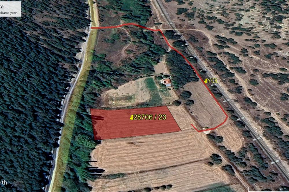 CENTURY 21 VİZYON'DAN YENİSOFÇA’DA SU VE YOLU OLAN SATILIK TARLA