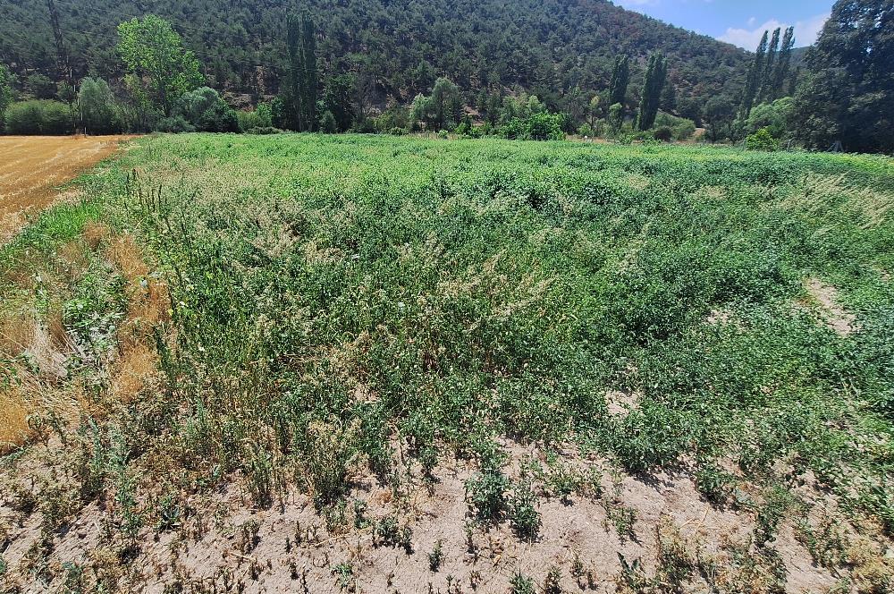CENTURY 21 VİZYON'DAN YENİSOFÇA’DA SU VE YOLU OLAN SATILIK TARLA
