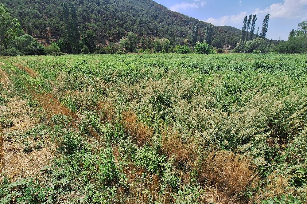 CENTURY 21 VİZYON'DAN YENİSOFÇA’DA SU VE YOLU OLAN SATILIK TARLA