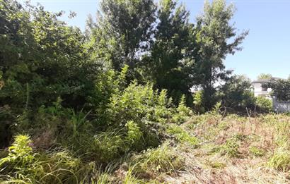 SERDİVAN YAZLIK’DA İKİ PARSEL SATILIK %30 İMARLI 681 M2 ARSA