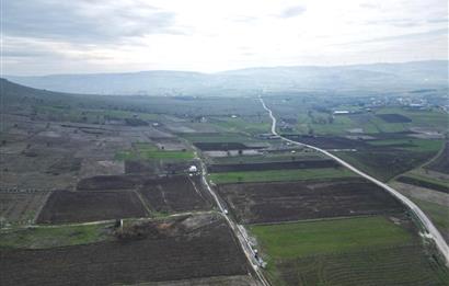 CENTURY21 BAL’DAN   KARABEYLER/KARAKOL MAH. SATILIK TARLA