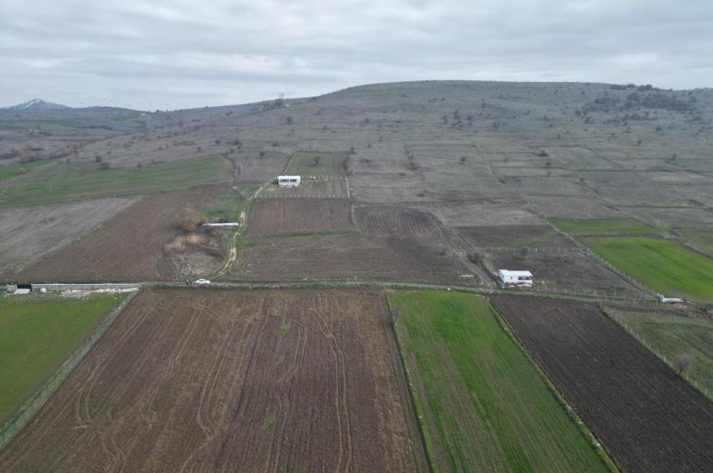 CENTURY21 BAL’DAN   KARABEYLER/KARAKOL MAH. SATILIK TARLA