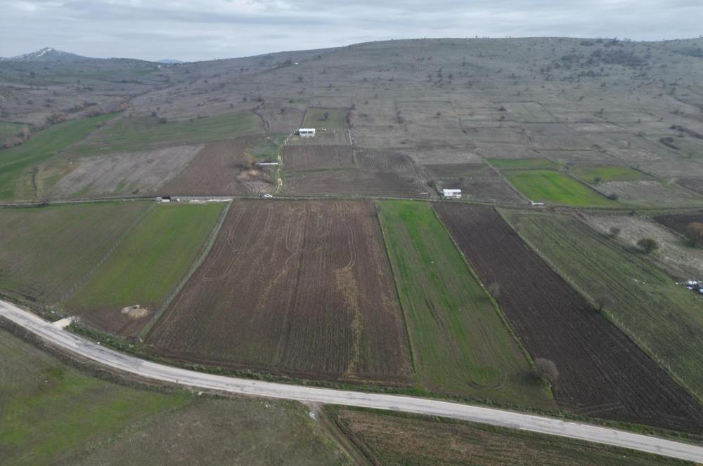 CENTURY21 BAL’DAN   KARABEYLER/KARAKOL MAH. SATILIK TARLA