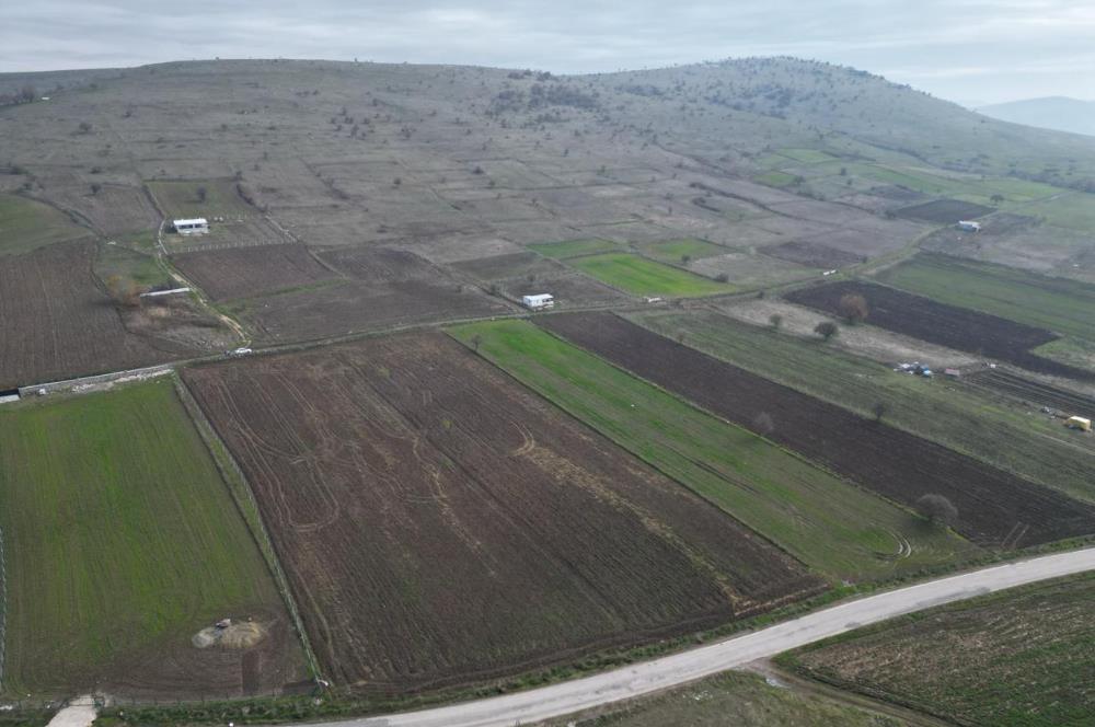 CENTURY21 BAL’DAN   KARABEYLER/KARAKOL MAH. SATILIK TARLA