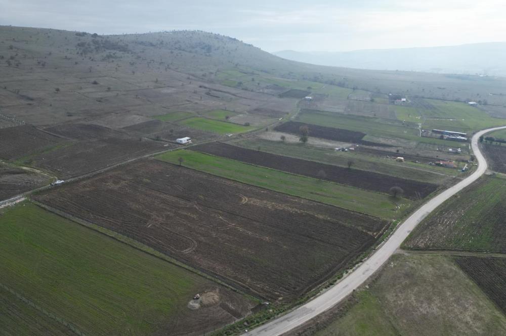 CENTURY21 BAL’DAN   KARABEYLER/KARAKOL MAH. SATILIK TARLA