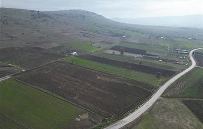 CENTURY21 BAL’DAN   KARABEYLER/KARAKOL MAH. SATILIK TARLA