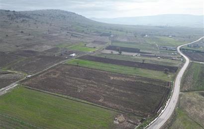 CENTURY21 BAL’DAN   KARABEYLER/KARAKOL MAH. SATILIK TARLA