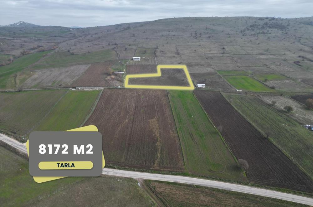 CENTURY21 BAL’DAN   KARABEYLER/KARAKOL MAH. SATILIK TARLA