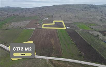 CENTURY21 BAL’DAN   KARABEYLER/KARAKOL MAH. SATILIK TARLA