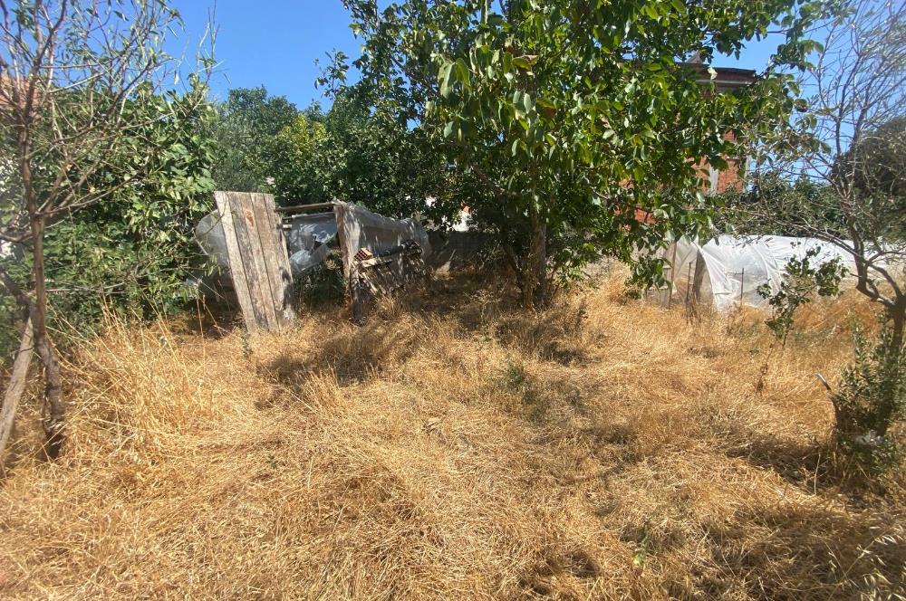 CENTURY21 BAL'DAN KEPSUT YENİCE MAH SATILIK 3 KATLI KOMPLE BİNA