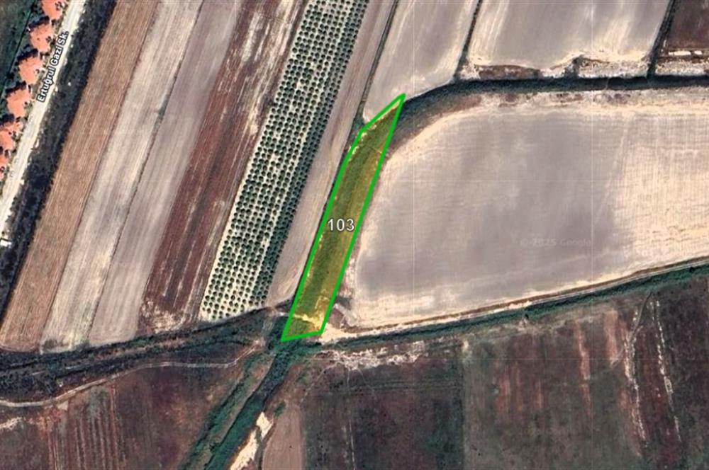 Land for sale in Antalya Serik Boğazkent hotels area
