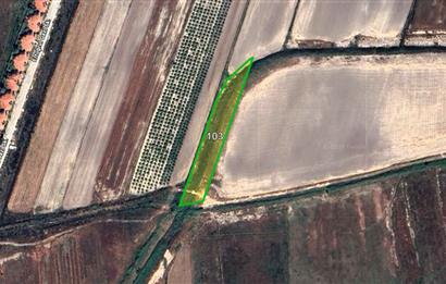 Land for sale in Antalya Serik Boğazkent hotels area