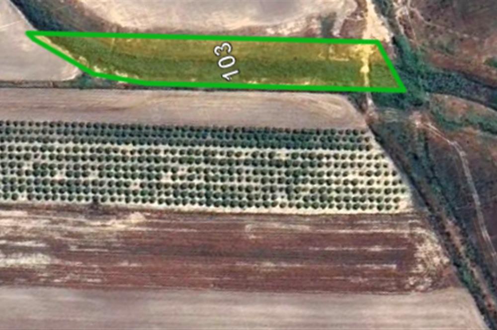 Land for sale in Antalya Serik Boğazkent hotels area