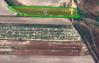 Land for sale in Antalya Serik Boğazkent hotels area