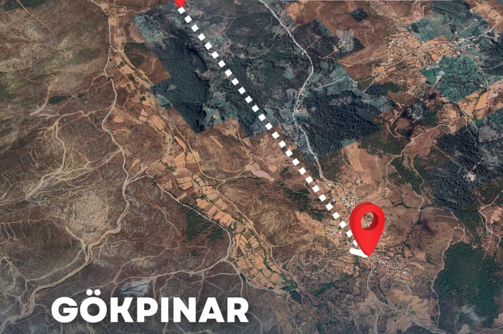  Bodrum Gökpınar 2,546 m2 olive grove for sale