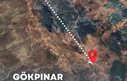  Bodrum Gökpınar 2,546 m2 olive grove for sale