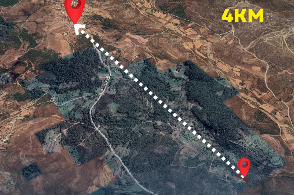 Bodrum gökpınar 2.944 m2 satılık zeytinlik
