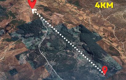 Bodrum gökpınar 2.944 m2 satılık zeytinlik