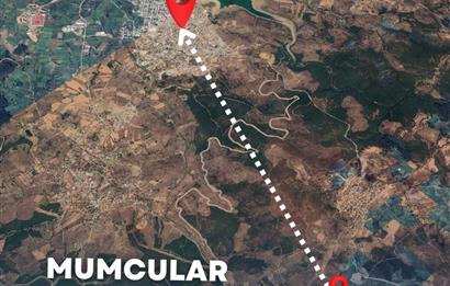  Bodrum Gökpınar 2,546 m2 olive grove for sale