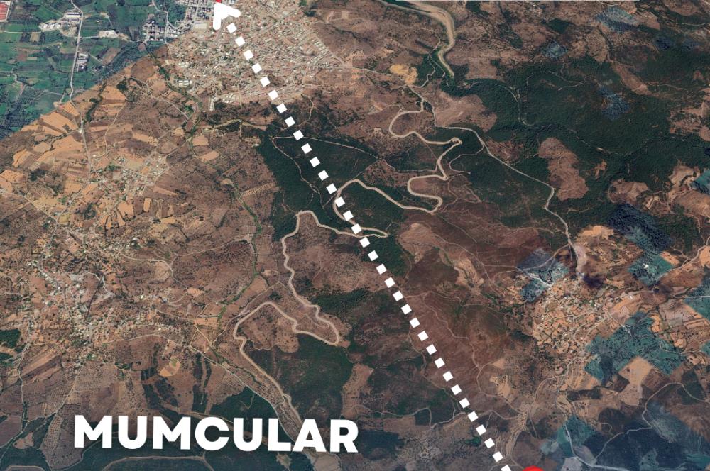 Bodrum gökpınar 2.944 m2 satılık zeytinlik