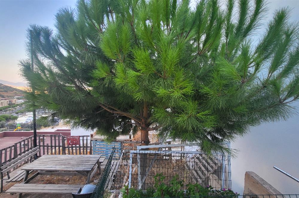 Konacık gaz deresi 2+1  kiralık daire