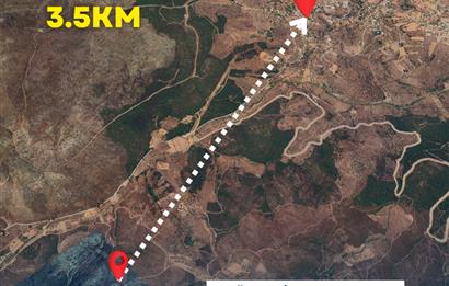  Bodrum Gökpınar 2,546 m2 olive grove for sale