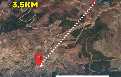Bodrum gökpınar 2.944 m2 satılık zeytinlik