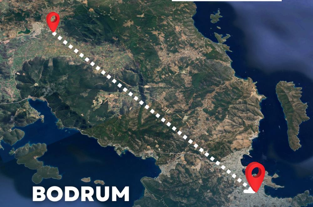 Bodrum gökpınar 2.944 m2 satılık zeytinlik
