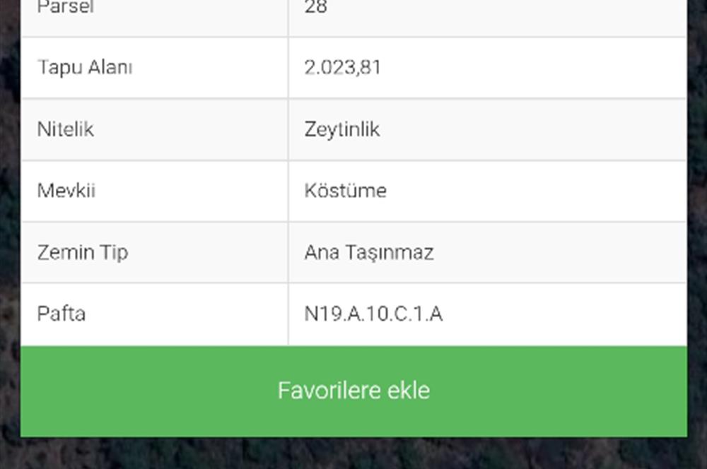 SATILIK 2 DÖNÜM ZEYTİNLİK