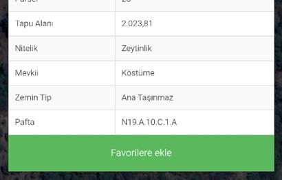 SATILIK 2 DÖNÜM ZEYTİNLİK