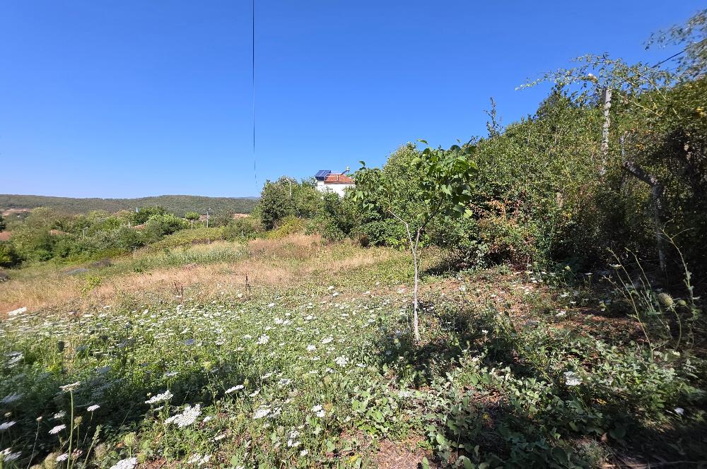 C21 Cius; Haydariye YolaCephe 4 MüstakilTapu Satılık İmarlı Arsa