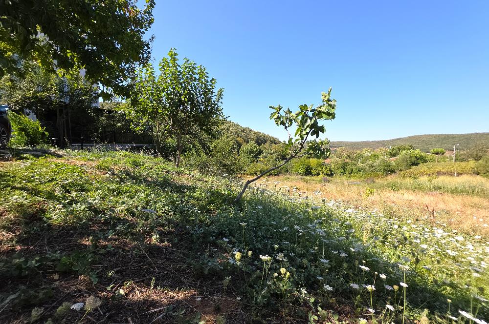 C21 Cius; Haydariye YolaCephe 4 MüstakilTapu Satılık İmarlı Arsa