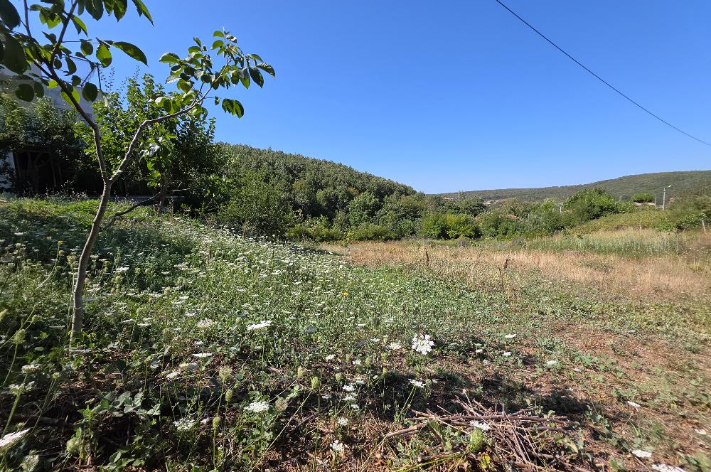 C21 Cius; Haydariye YolaCephe 4 MüstakilTapu Satılık İmarlı Arsa