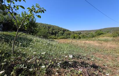C21 Cius; Haydariye YolaCephe 4 MüstakilTapu Satılık İmarlı Arsa