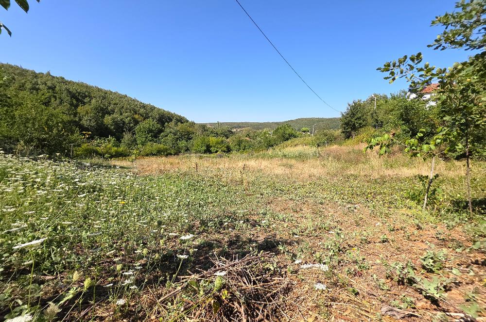 C21 Cius; Haydariye YolaCephe 4 MüstakilTapu Satılık İmarlı Arsa